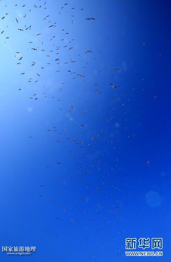 (國際·關(guān)注文化遺產(chǎn))(11)聖基爾達(dá)島:被遺棄的文明