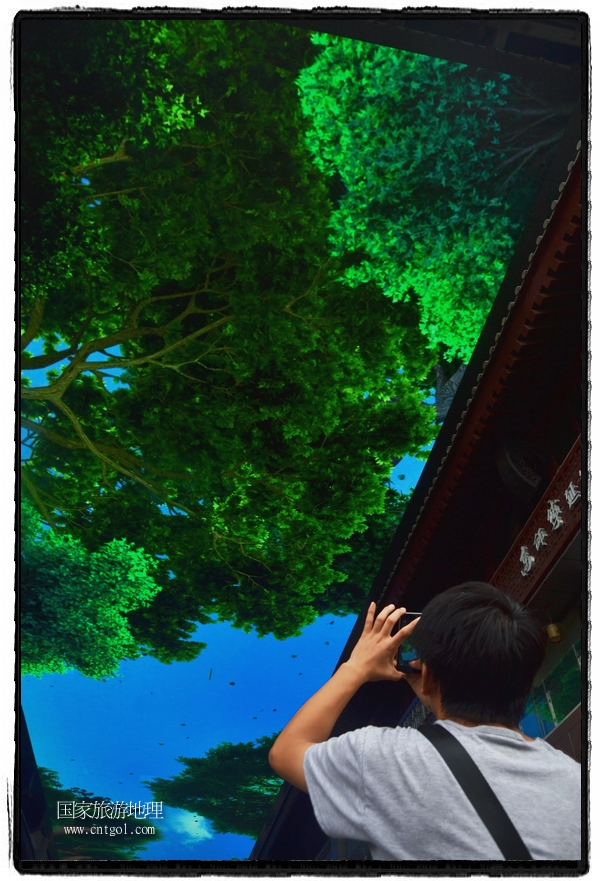 9月8日，在西安市大雁塔景區(qū)，“天幕”景觀吸引游客駐足觀看，并拿出手機(jī)拍攝。